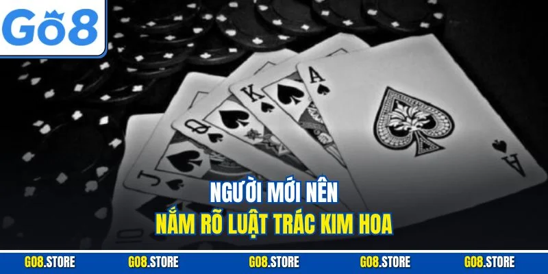 Người mới nên nắm rõ luật Trác Kim Hoa